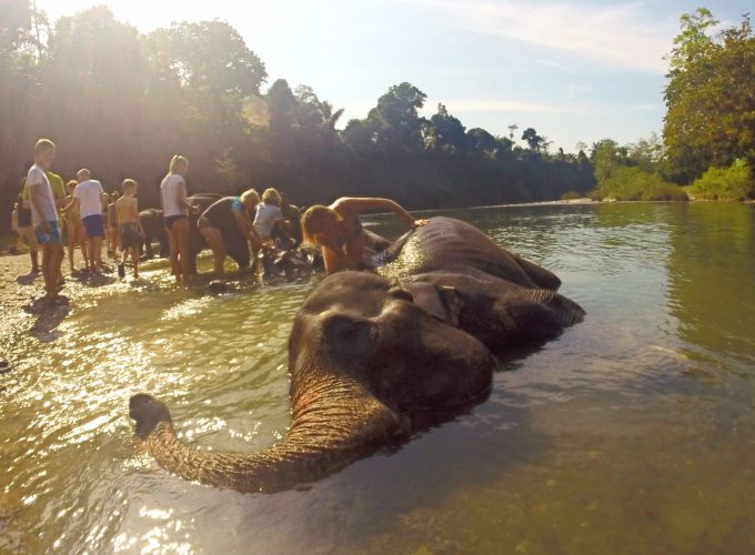 Traveling is now possible