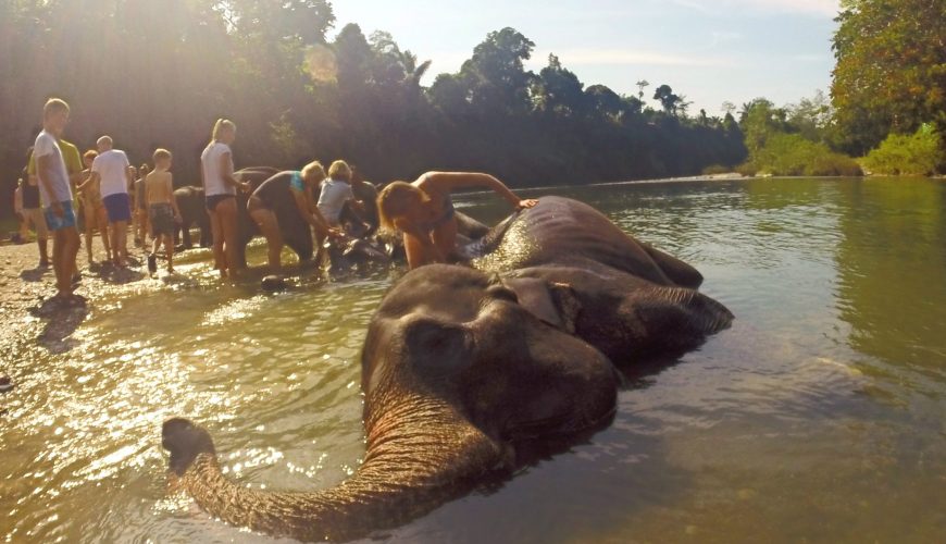 Traveling is now possible