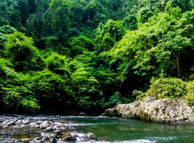 Traveling is now possible