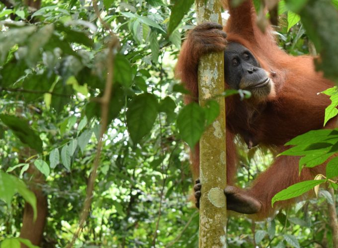 Traveling is now possible