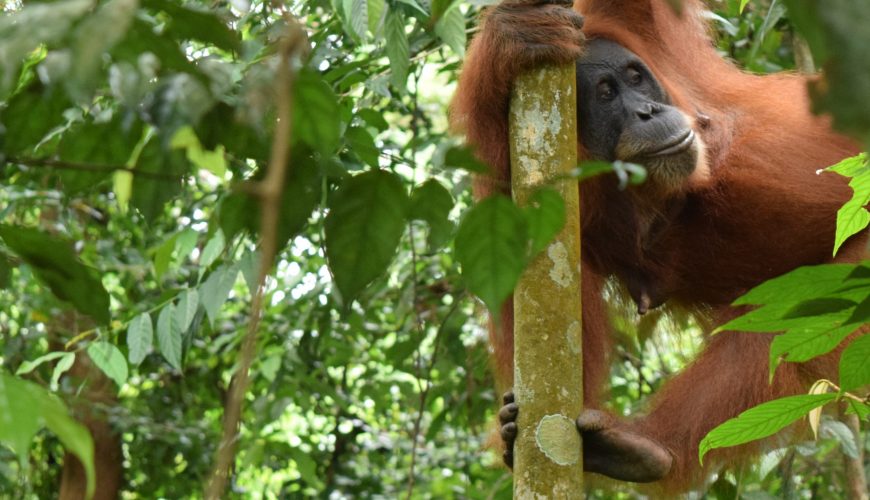 Traveling is now possible