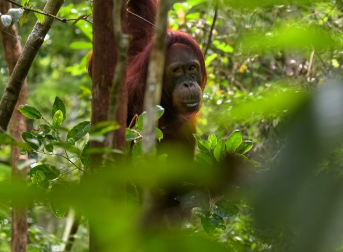 Traveling is now possible