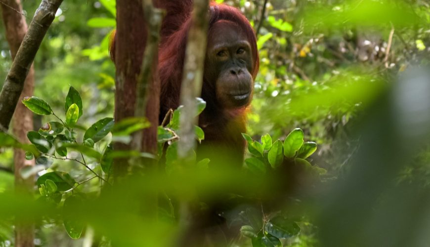 Traveling is now possible