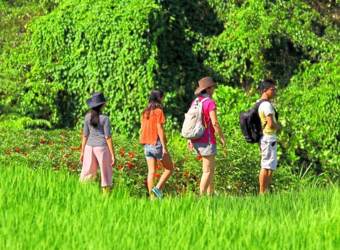 Traveling is now possible