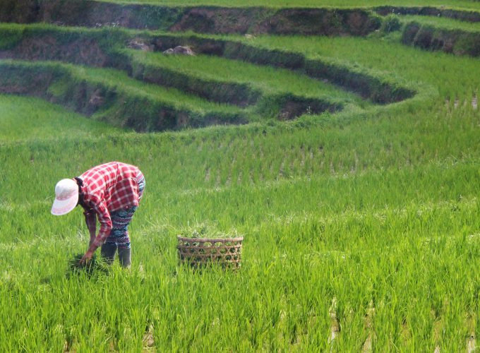 Traveling is now possible