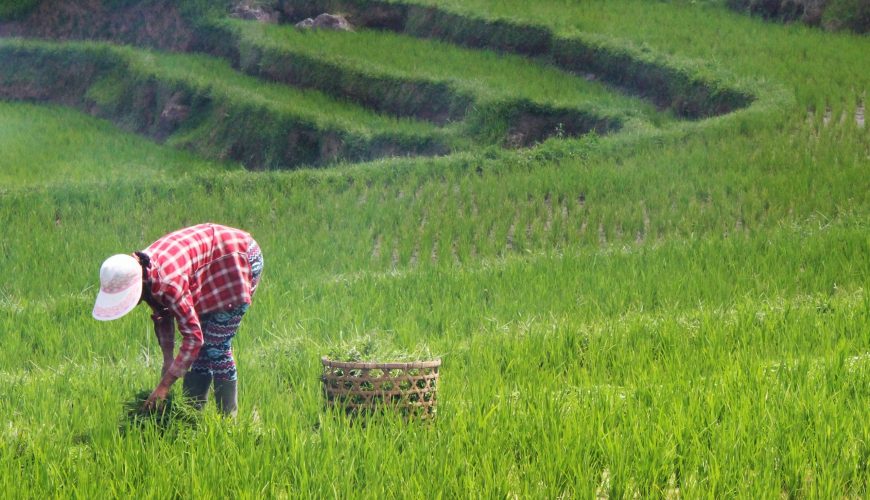 Traveling is now possible